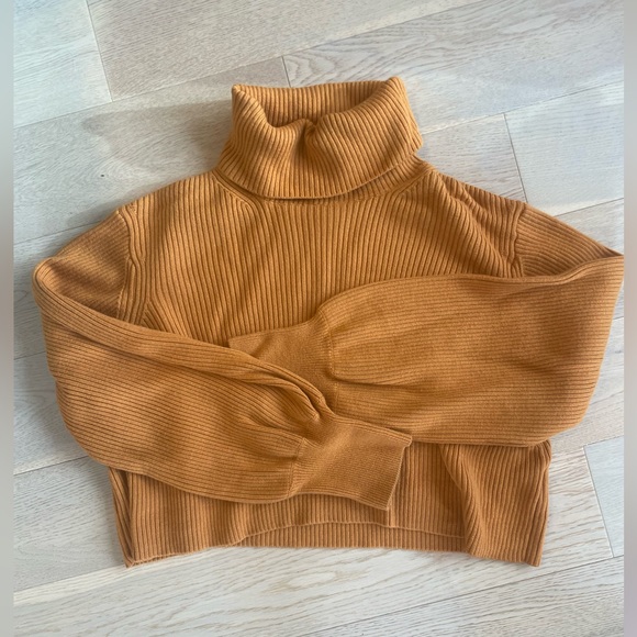 Wilfred Sweaters - Aritzia Wilfred Cropped Sweater